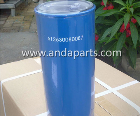 CHINA Filtro de combustible de buena calidad para camión FAW FAW 612630080087 en venta proveedor